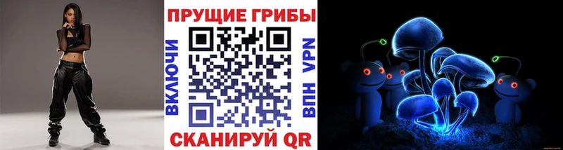 кракен tor  Тихорецк  Галлюциногенные грибы MAGIC MUSHROOMS 